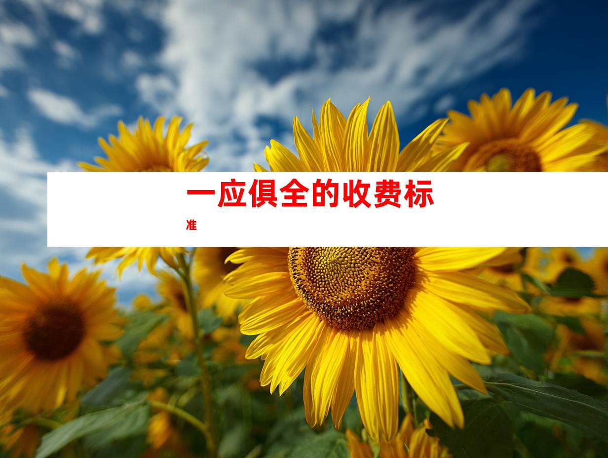一应俱全的收费标准