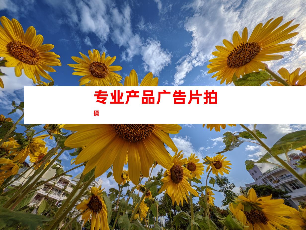 专业产品广告片拍摄
