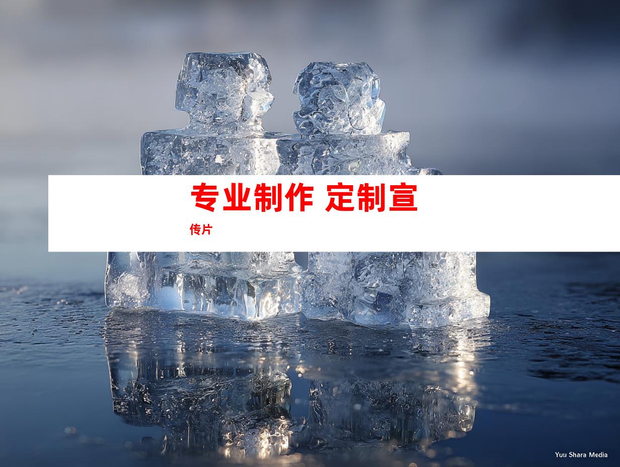 专业制作 定制宣传片