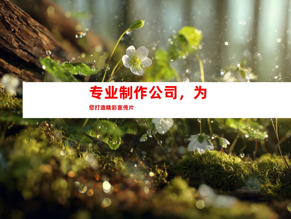 专业制作公司，为您打造精彩宣传片
