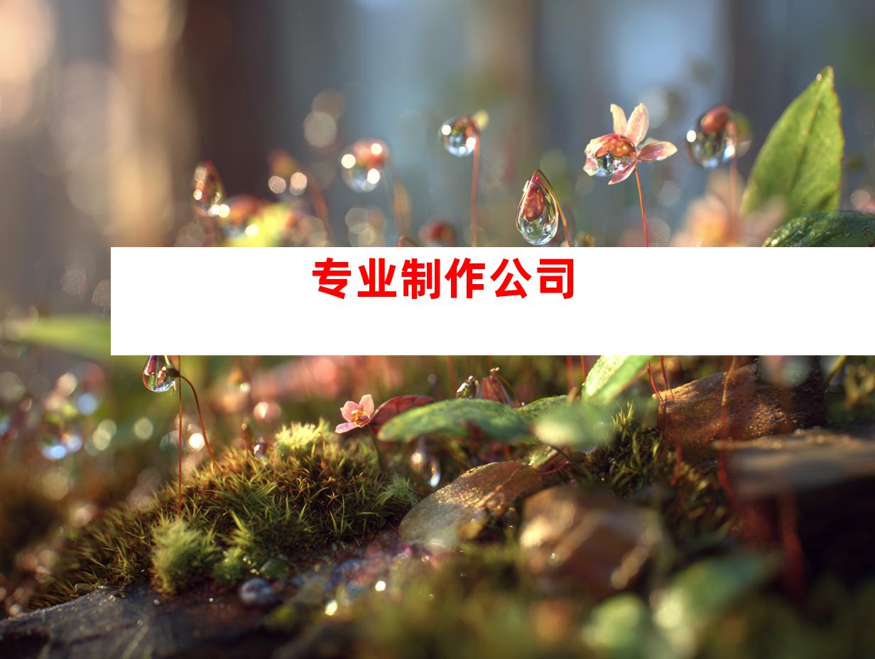 专业制作公司