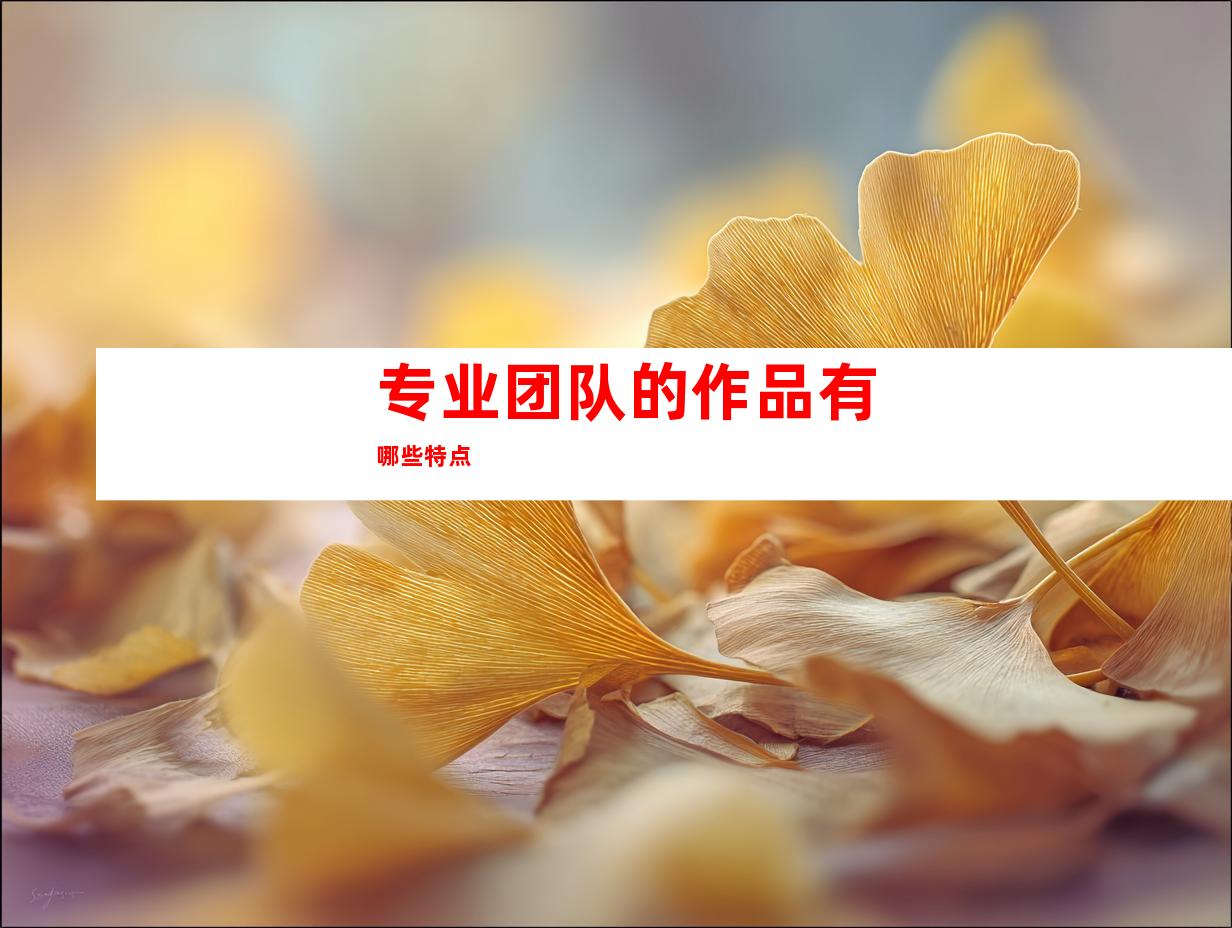 专业团队的作品有哪些特点