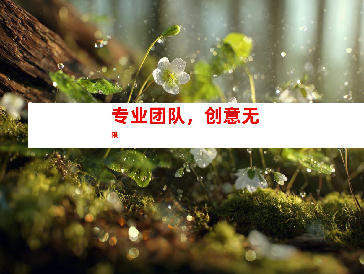 专业团队，创意无限
