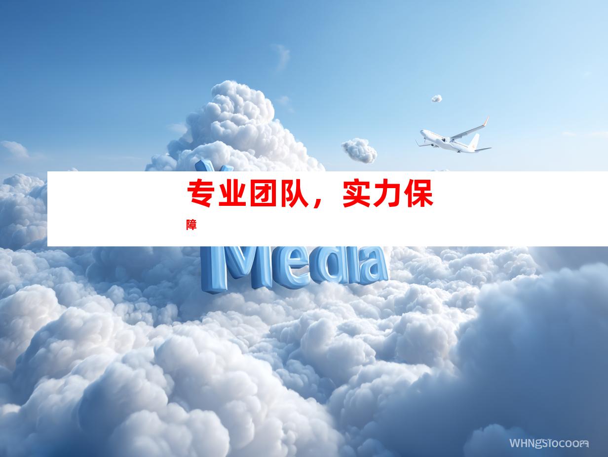 专业团队，实力保障