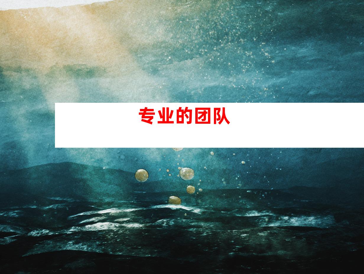 专业的团队