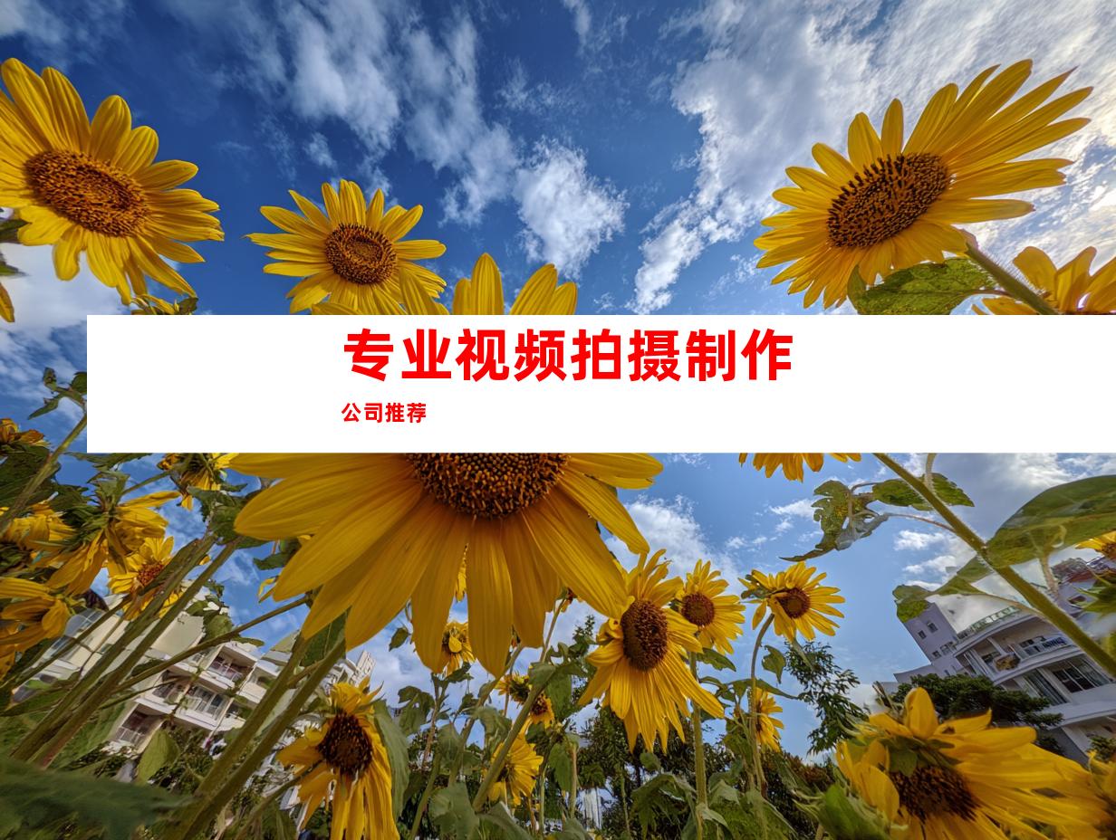 专业视频拍摄制作公司推荐