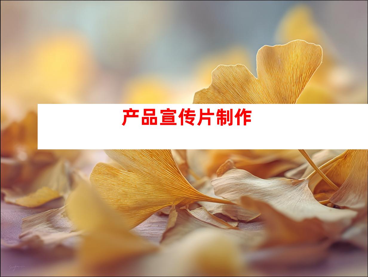 产品宣传片制作