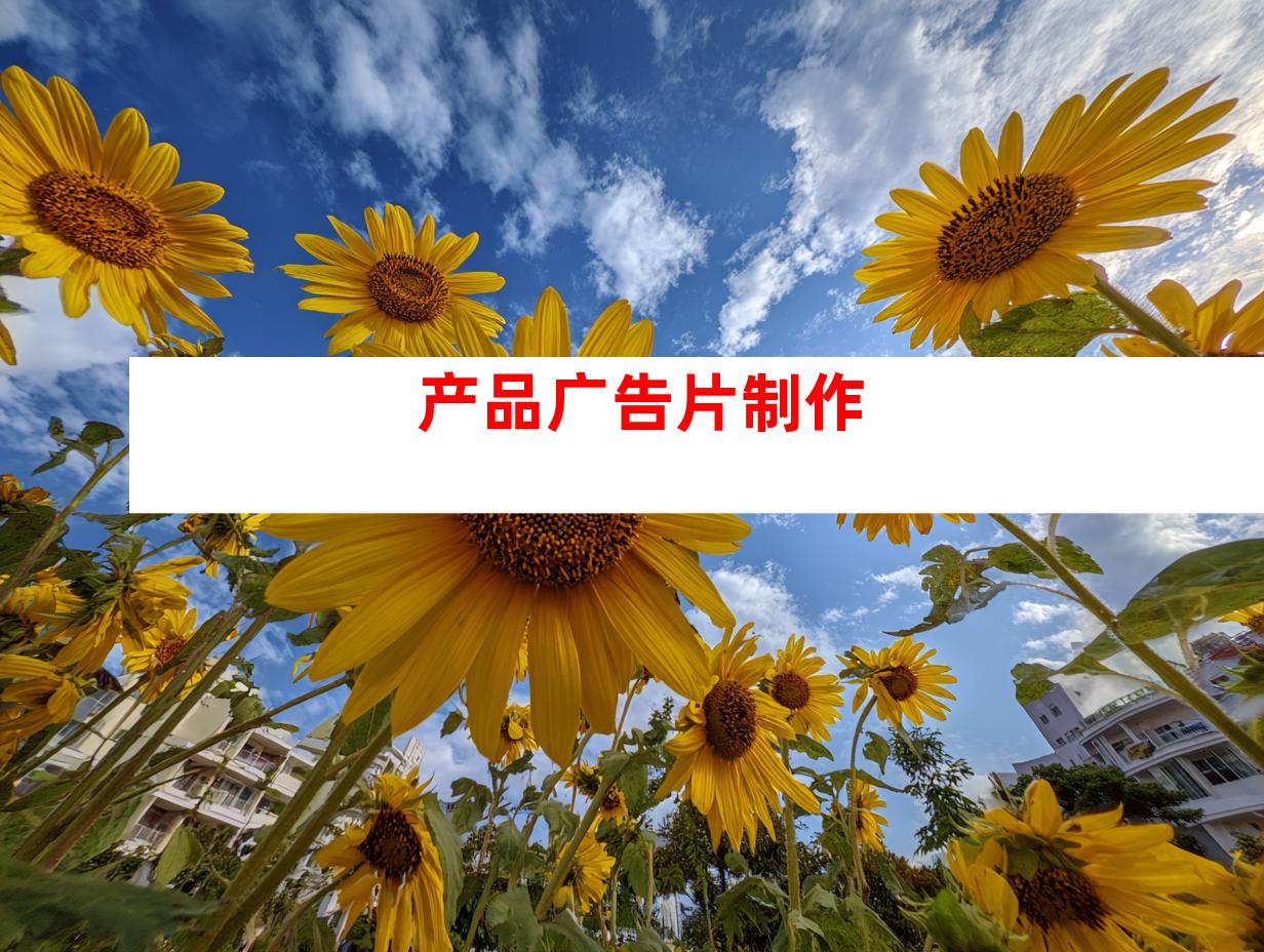 产品广告片制作