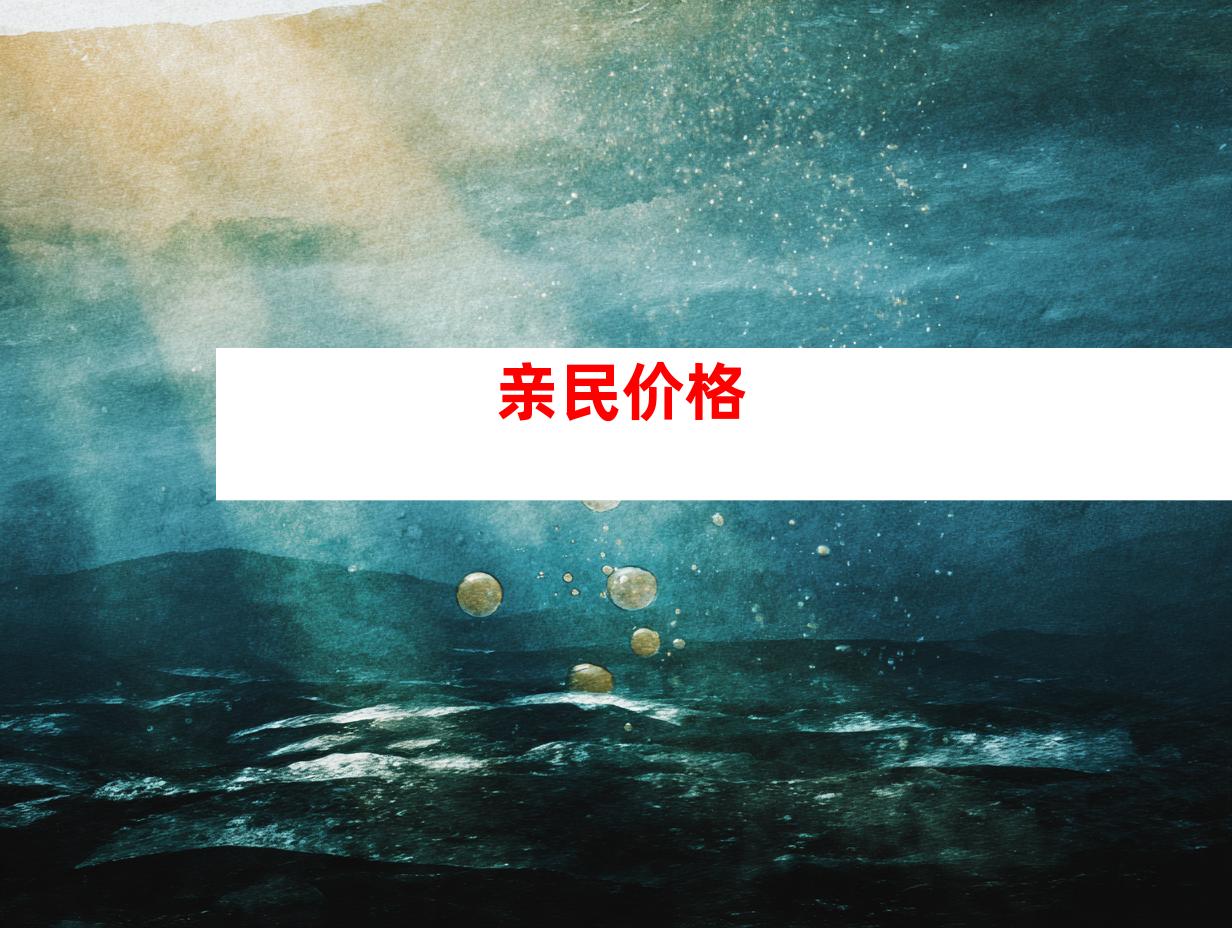 亲民价格