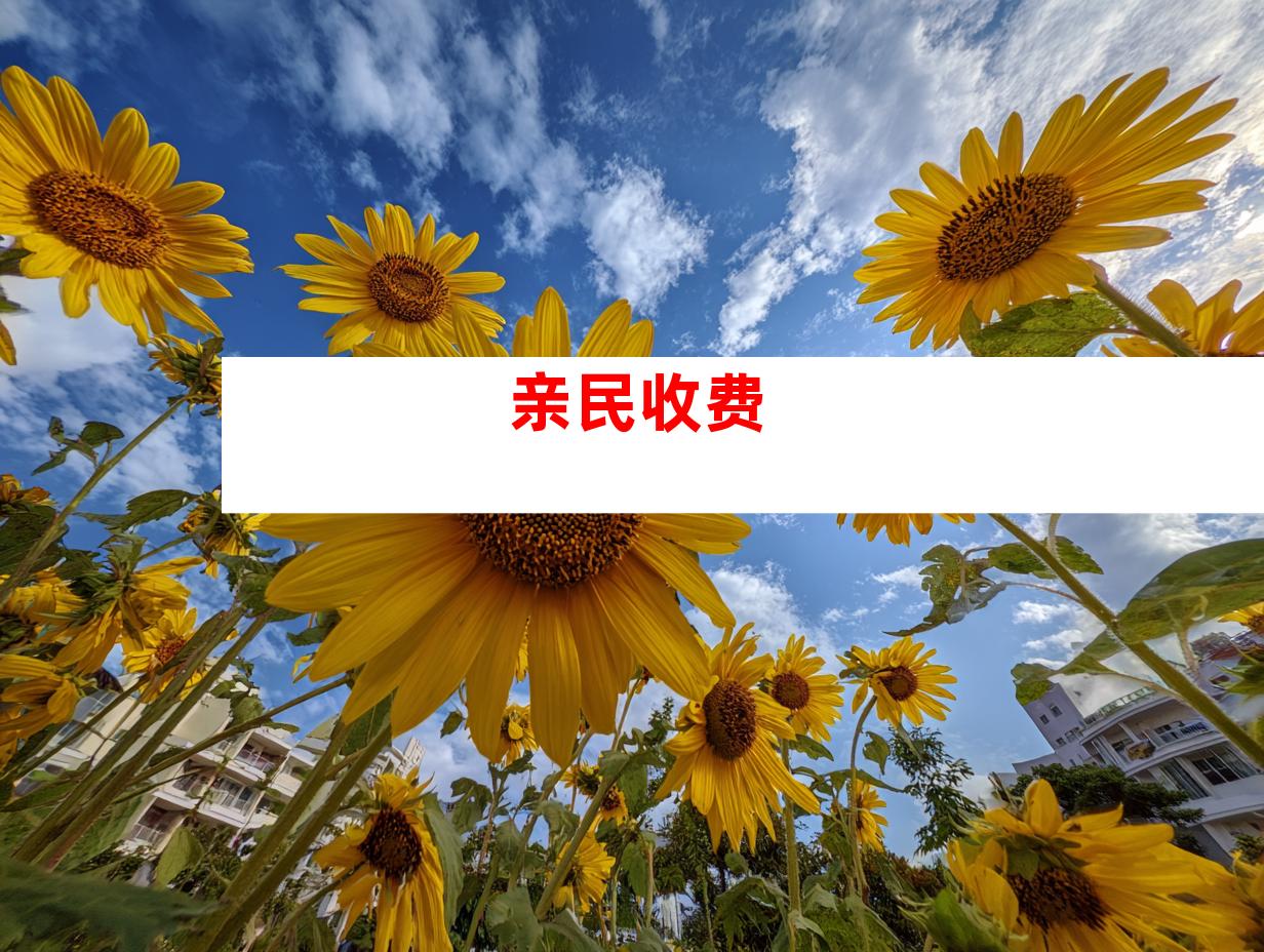 亲民收费