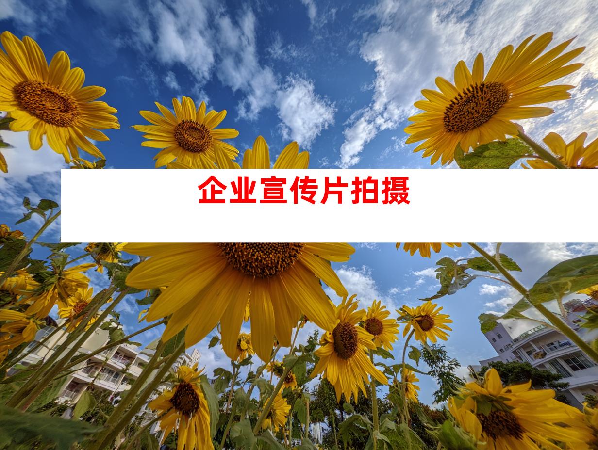 企业宣传片拍摄