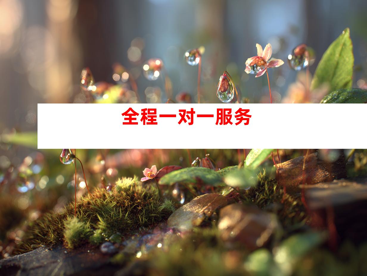 全程一对一服务