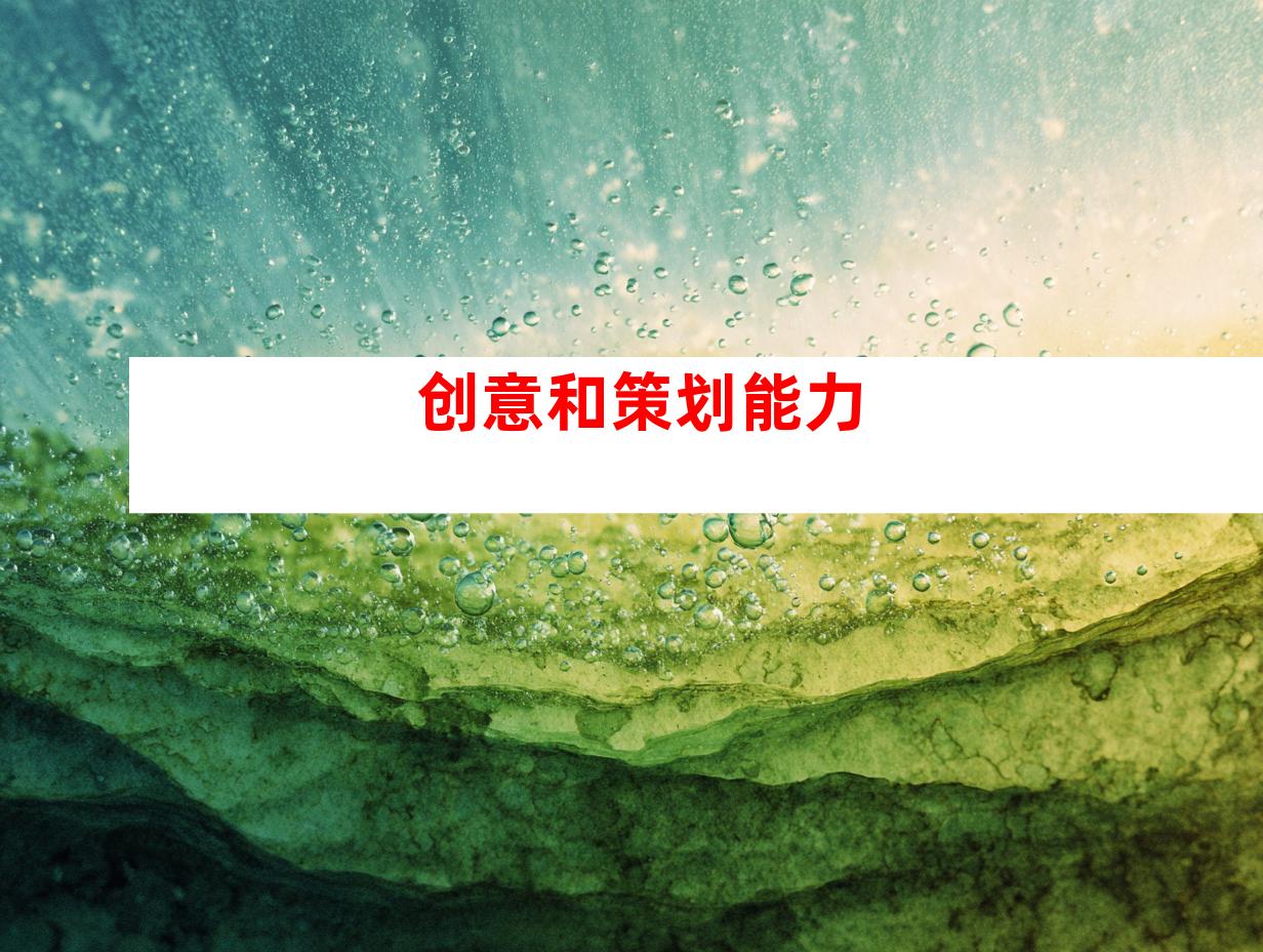 创意和策划能力