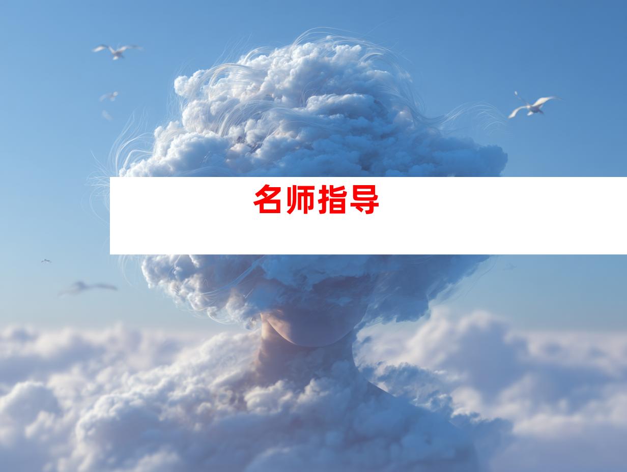 名师指导