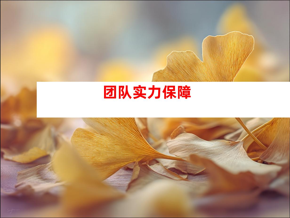 团队实力保障