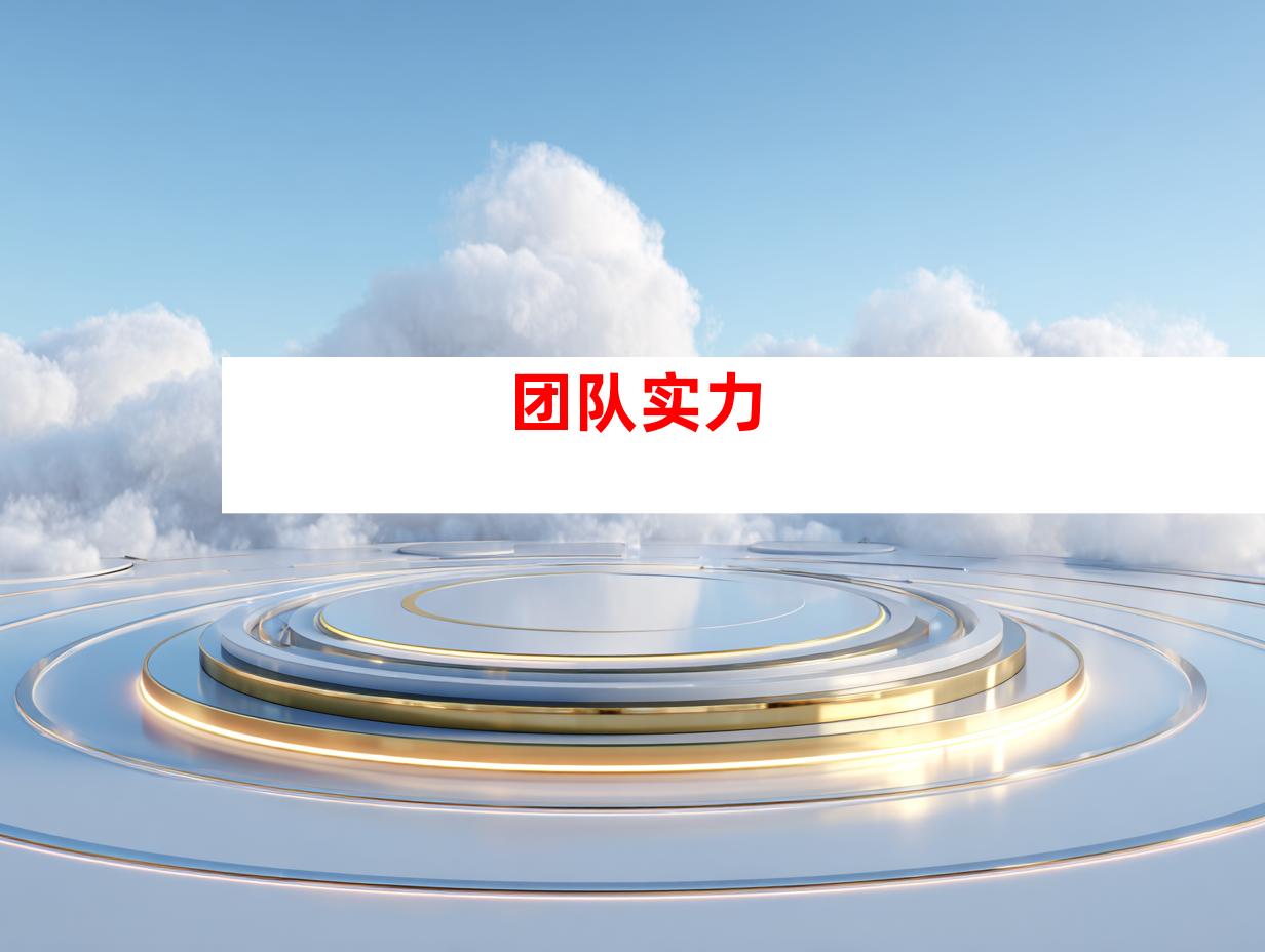 团队实力