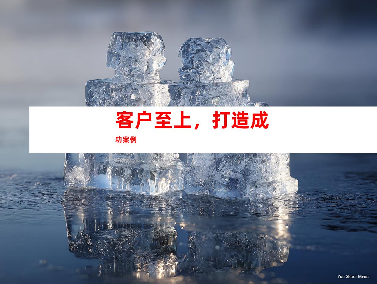 客户至上，打造成功案例
