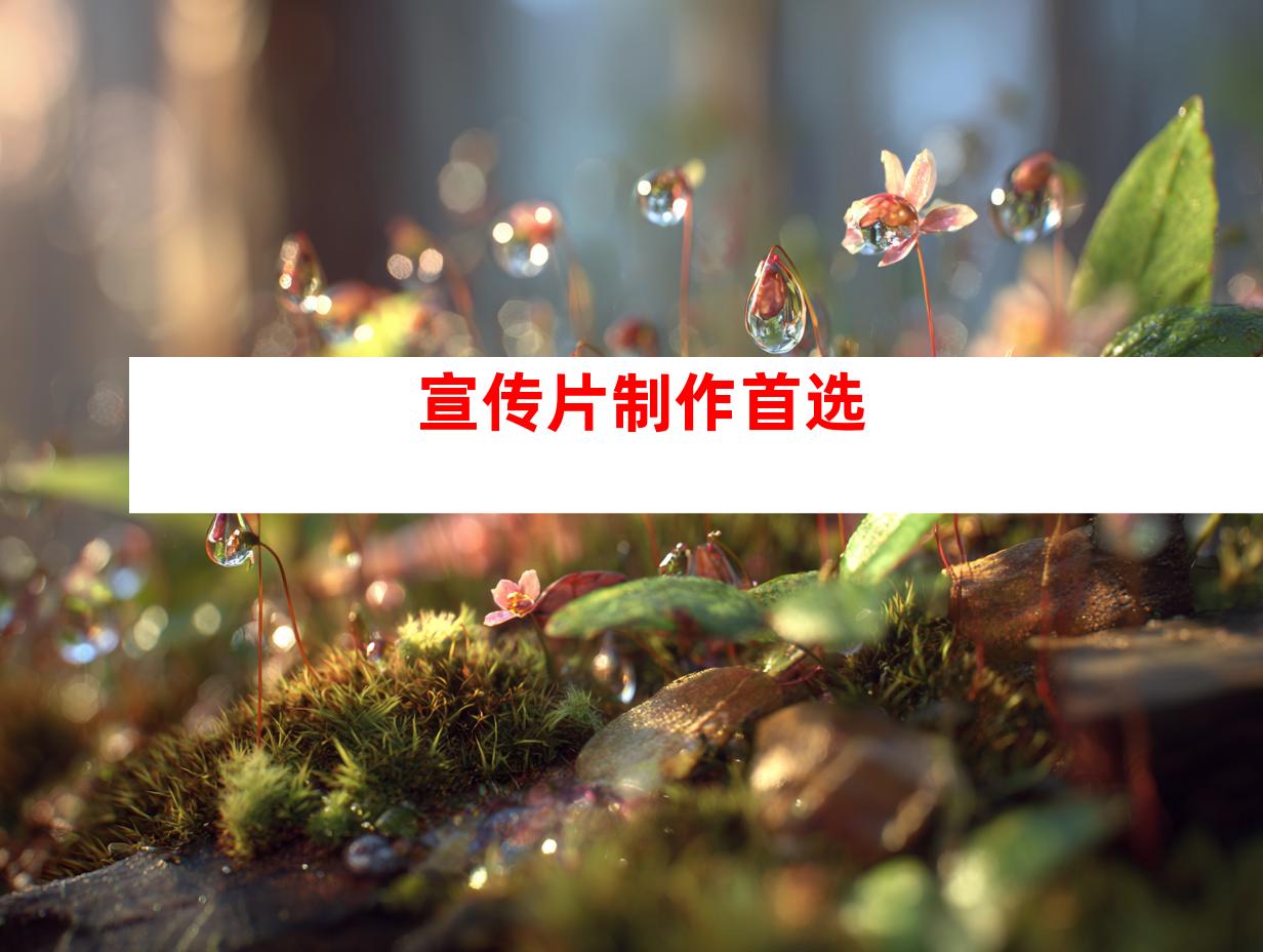 宣传片制作首选
