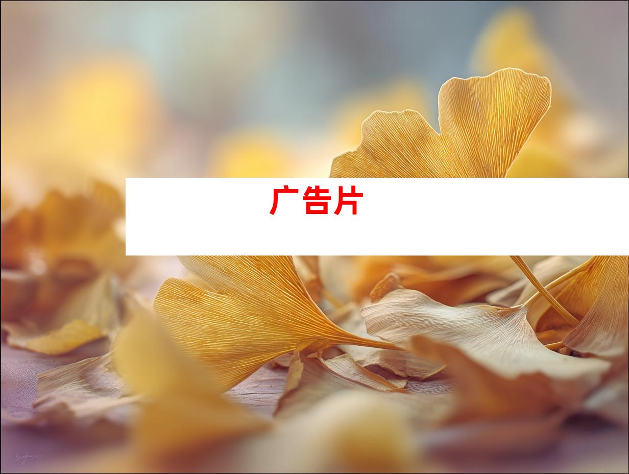 广告片