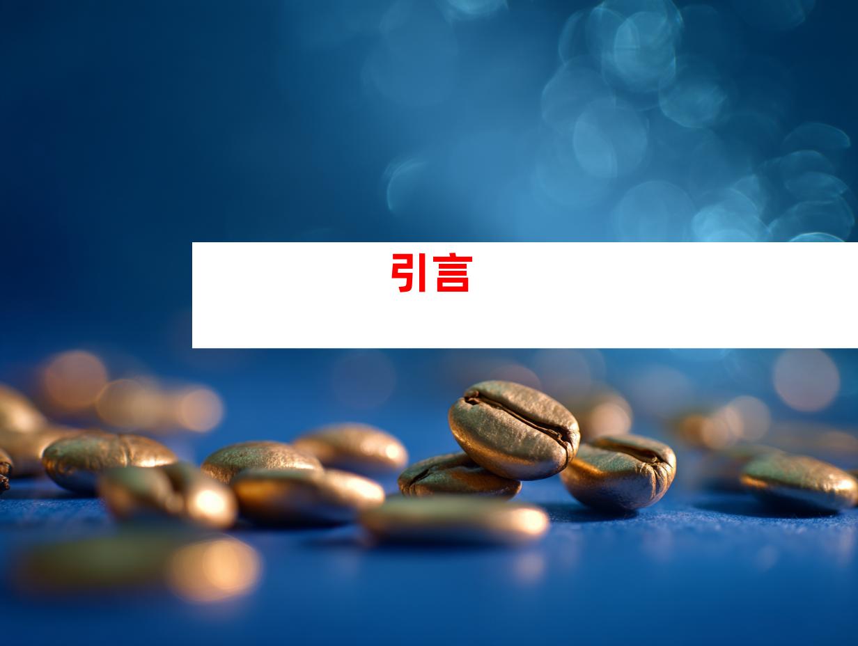引言