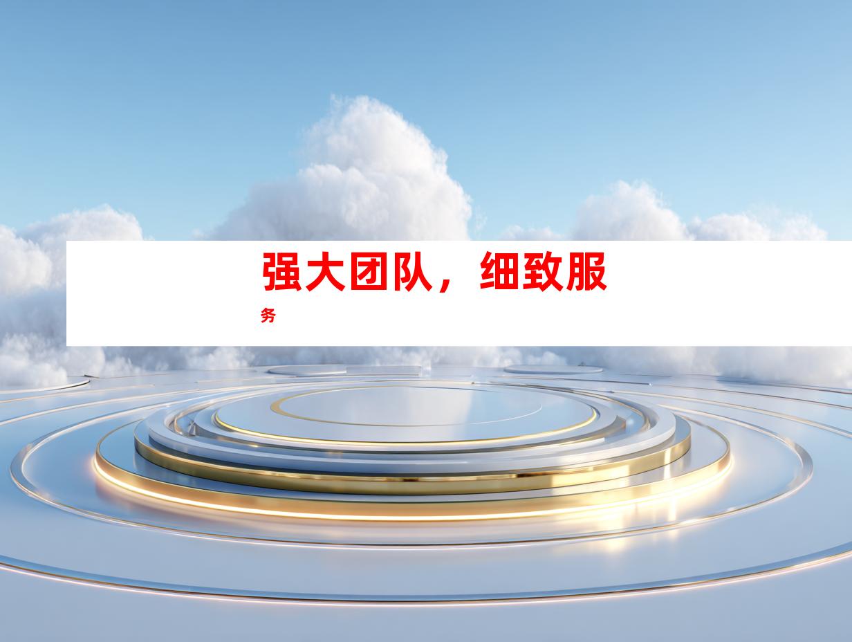 强大团队，细致服务