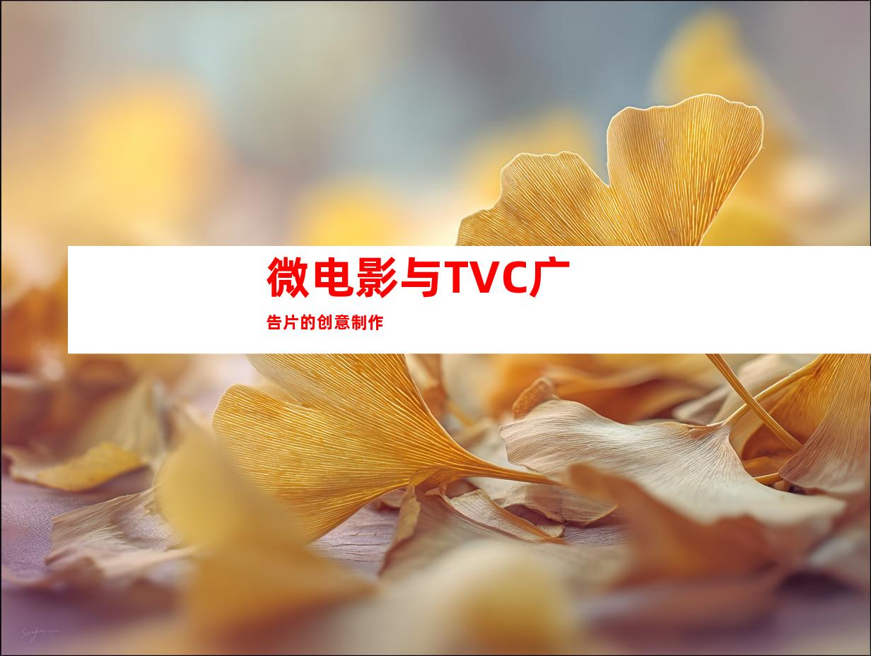 微电影与TVC广告片的创意制作