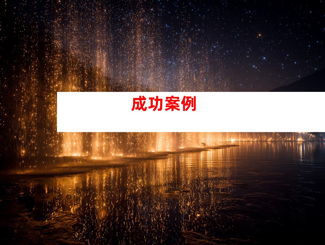 成功案例