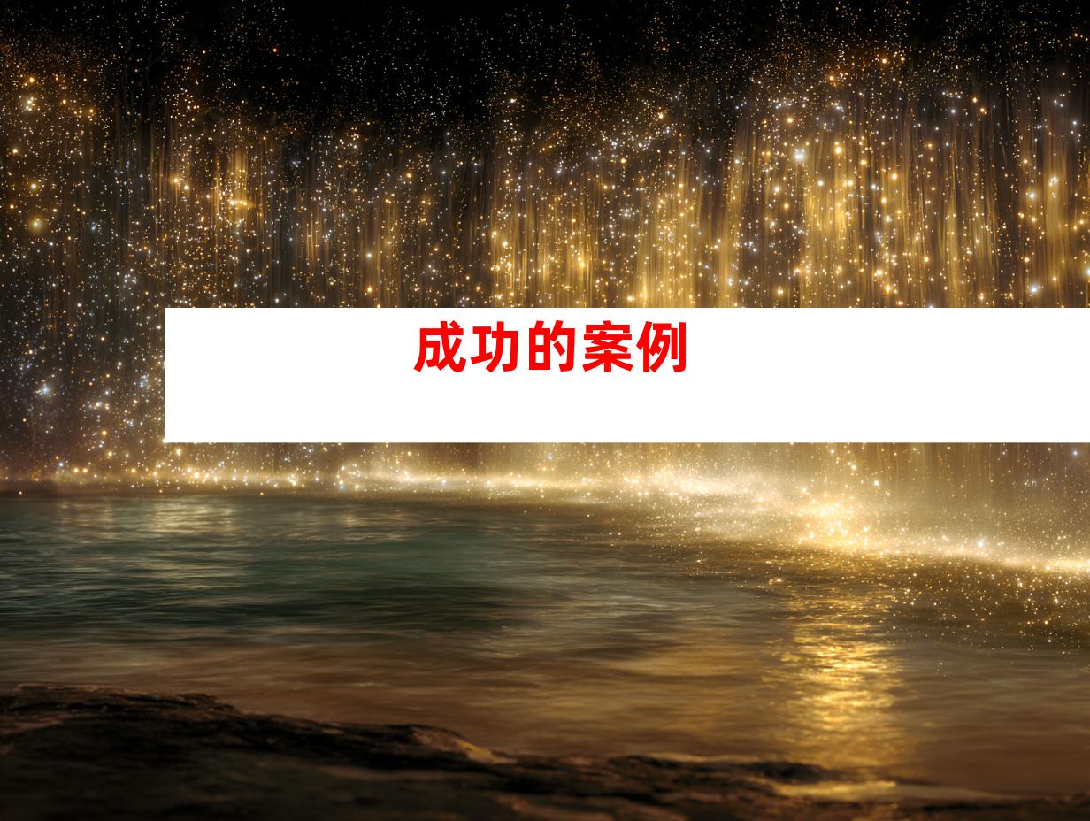 成功的案例