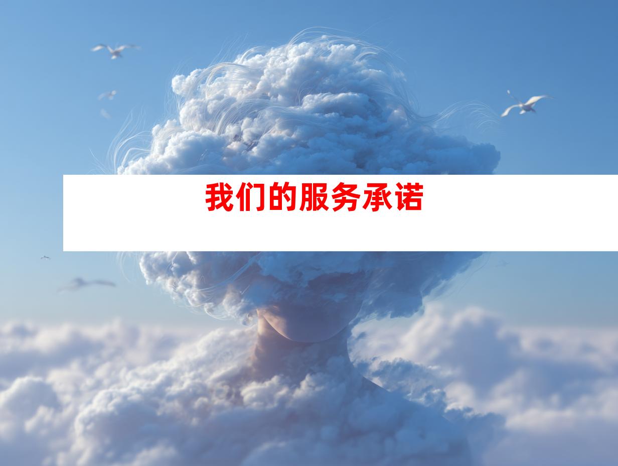 我们的服务承诺