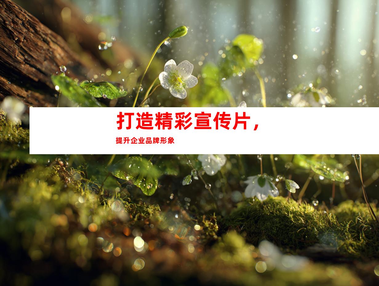 打造精彩宣传片，提升企业品牌形象