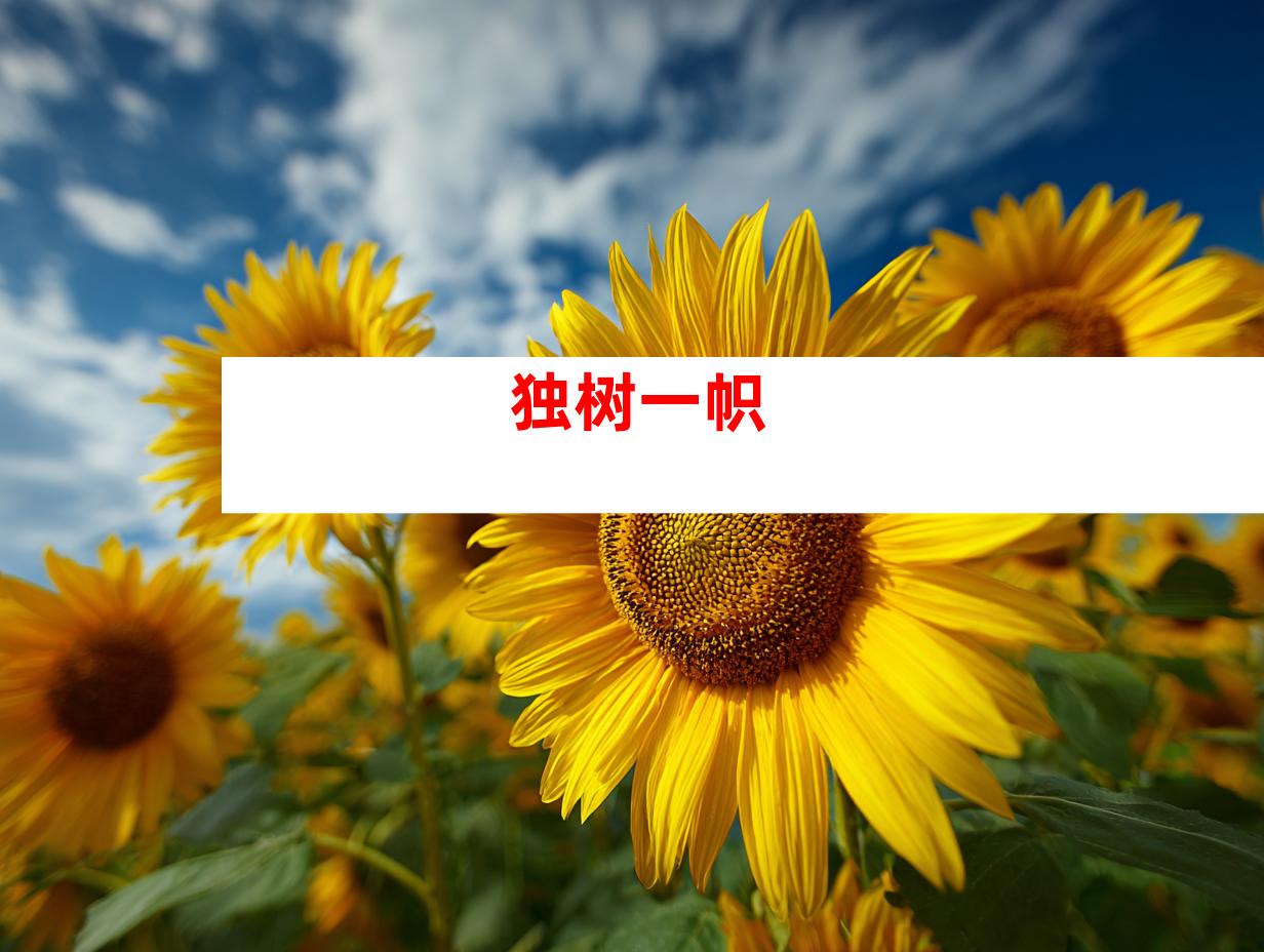 独树一帜