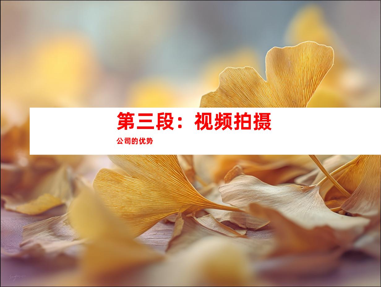 第三段：视频拍摄公司的优势