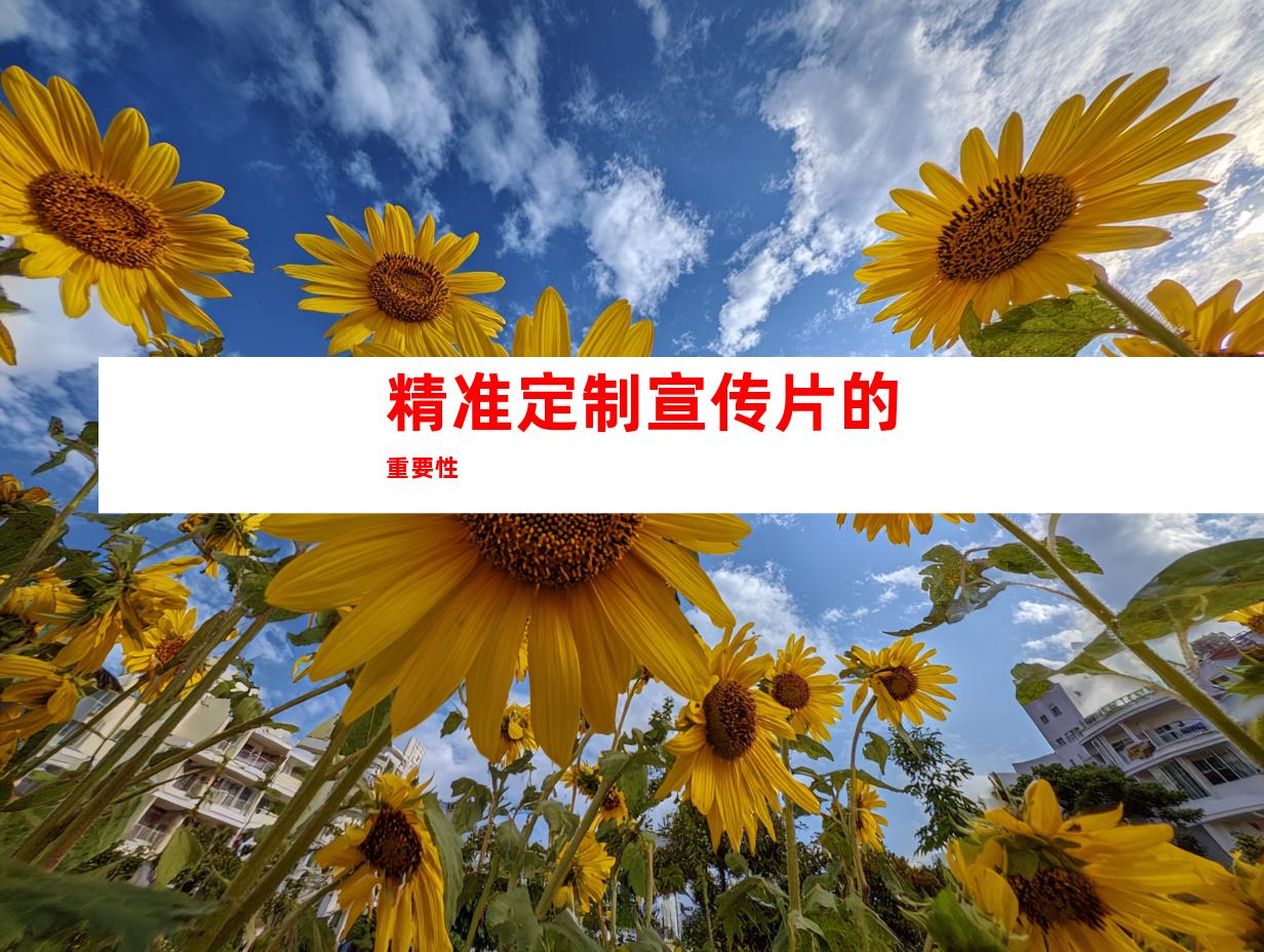 精准定制宣传片的重要性