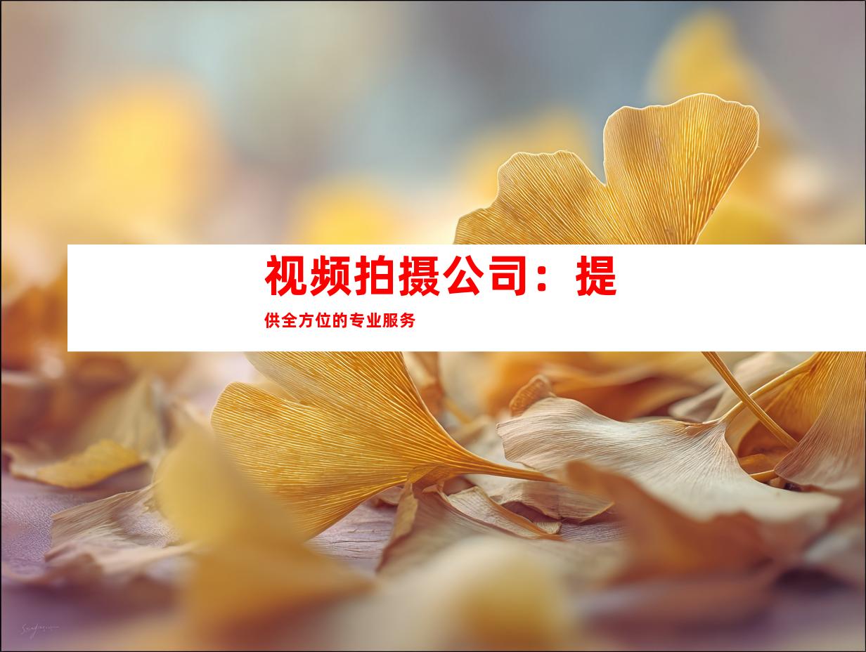 视频拍摄公司：提供全方位的专业服务