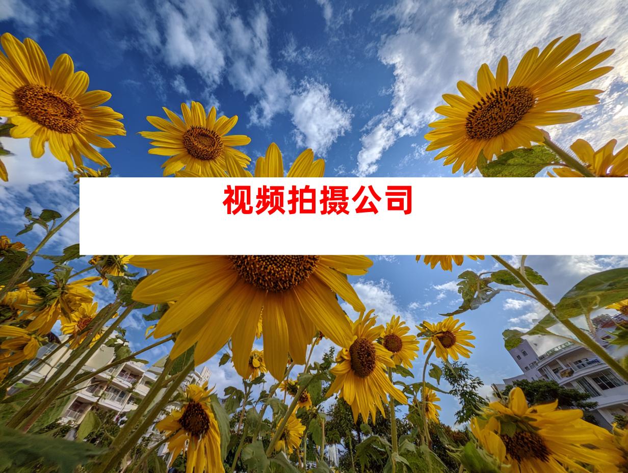 视频拍摄公司