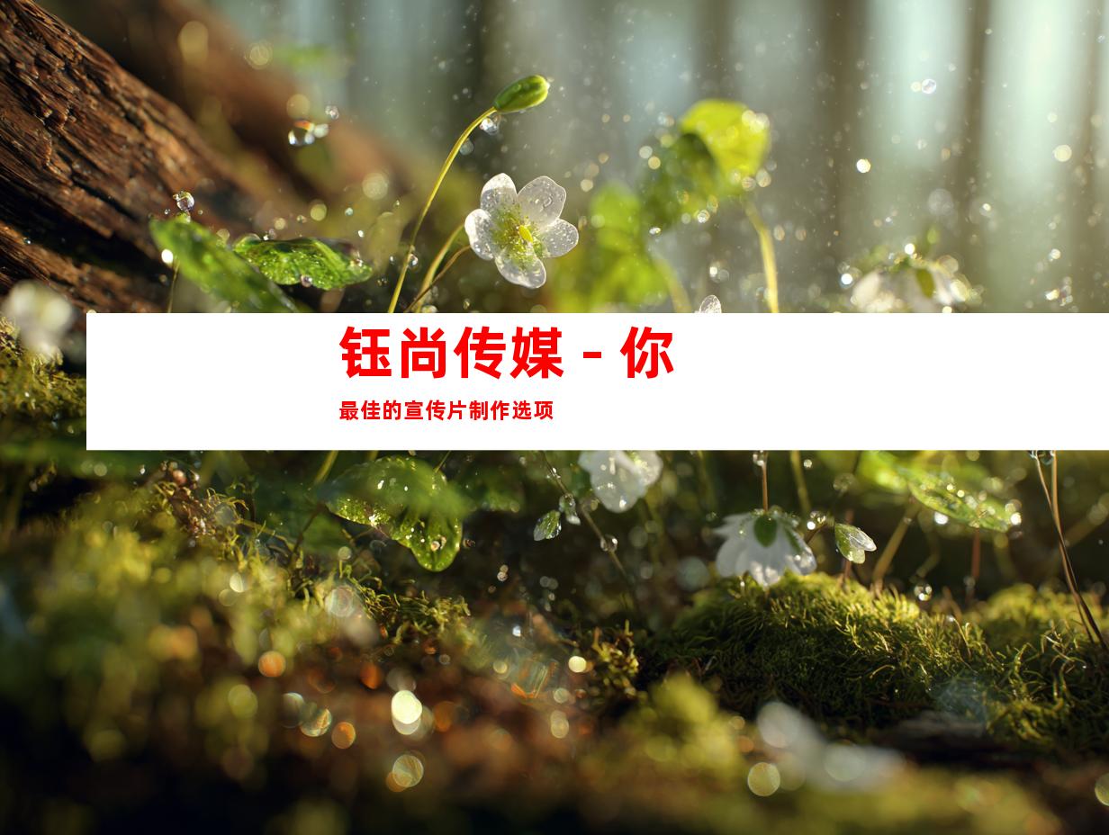 钰尚传媒 - 你最佳的宣传片制作选项
