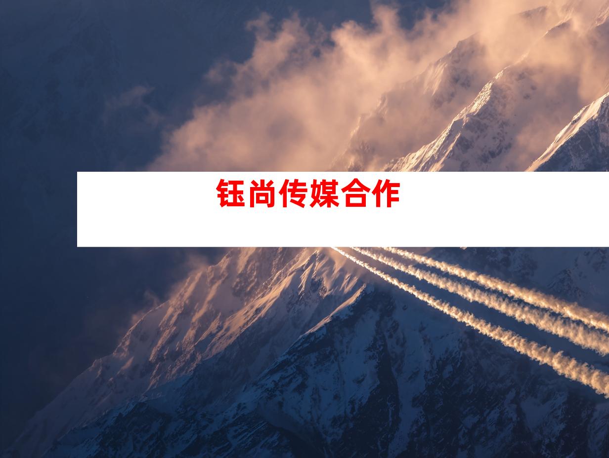 钰尚传媒合作