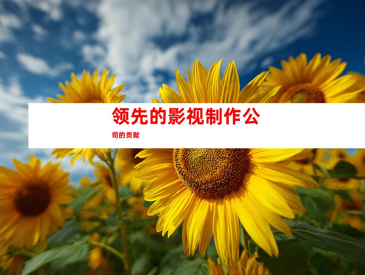 领先的影视制作公司的贡献