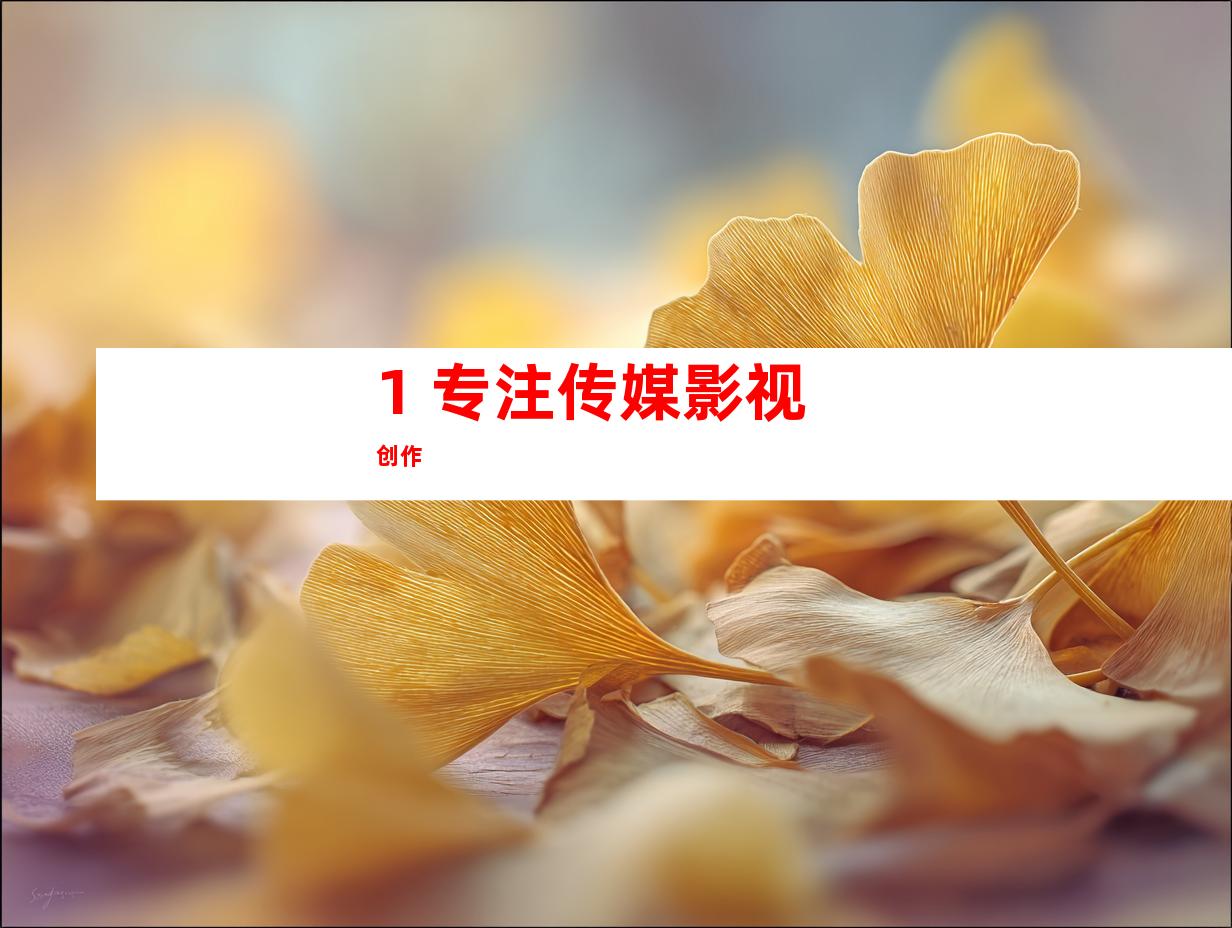 1. 专注传媒影视创作