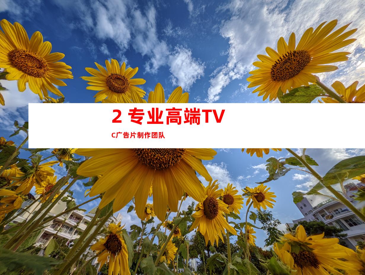 2. 专业高端TVC广告片制作团队