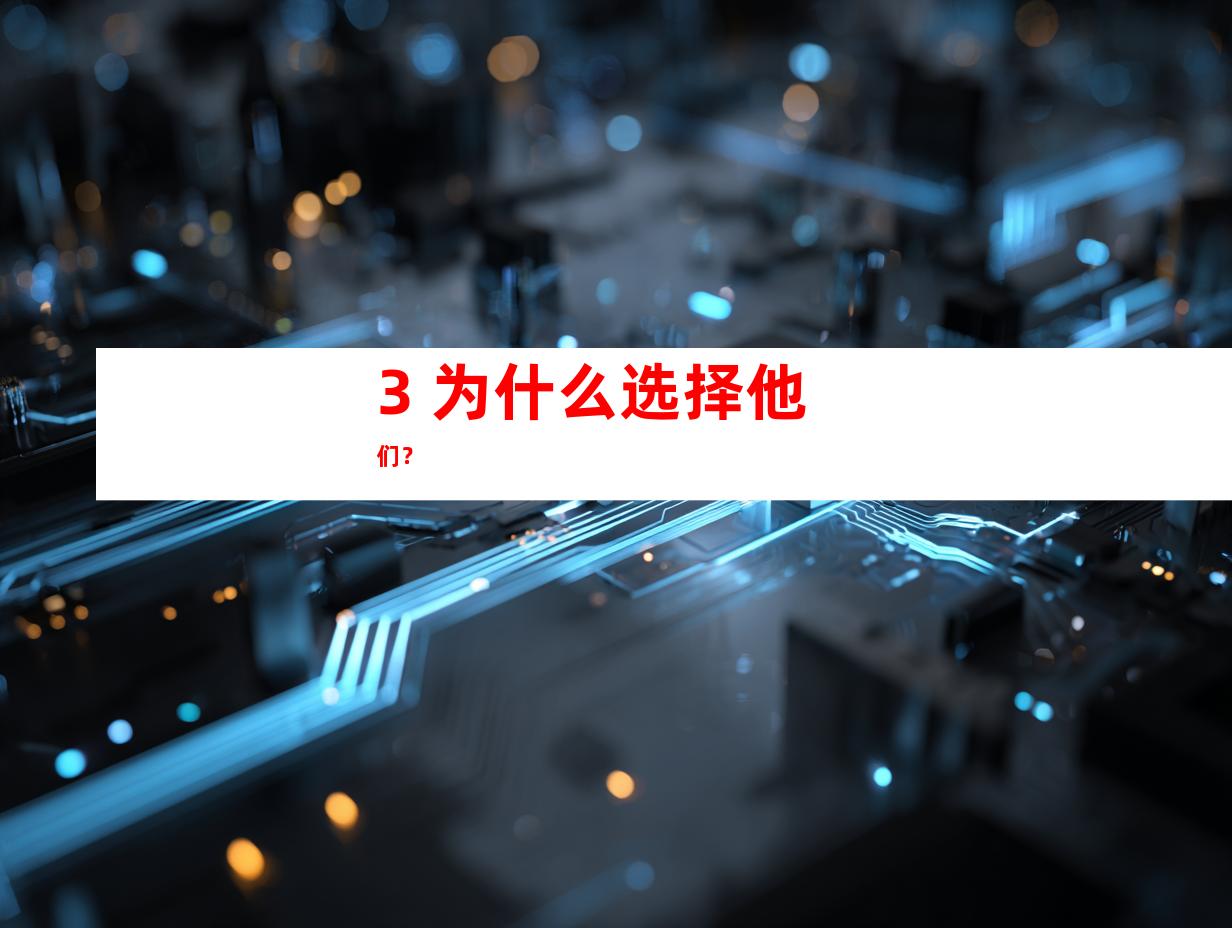 3. 为什么选择他们？
