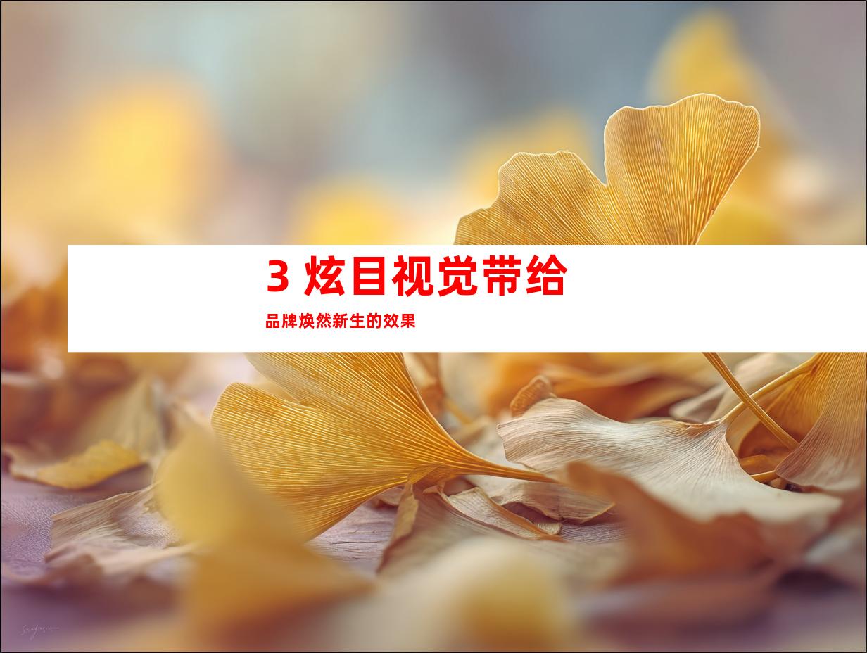 3. 炫目视觉带给品牌焕然新生的效果