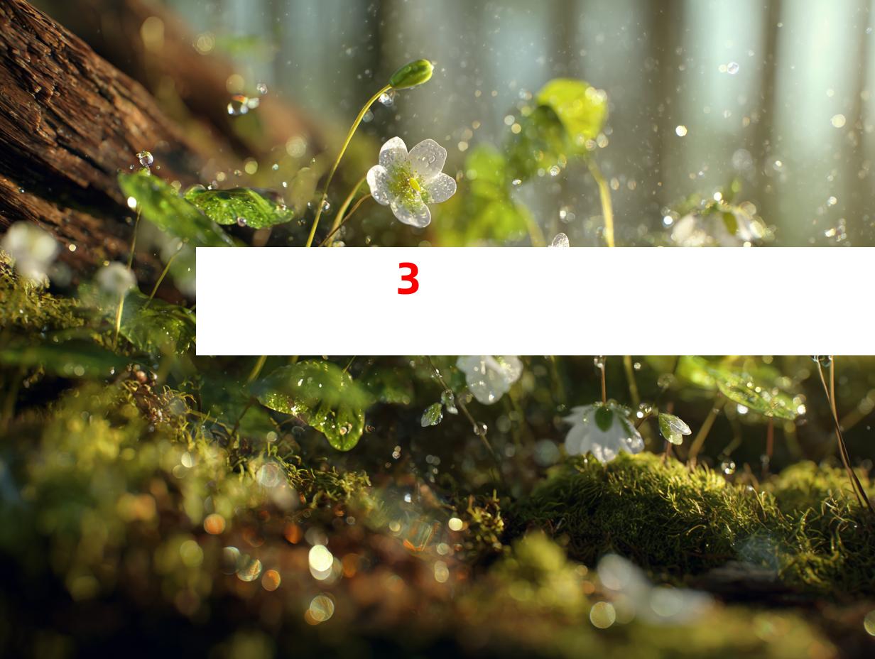 3. 