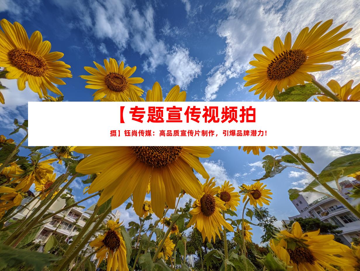 苏州【专题宣传视频拍摄】钰尚传媒：高品质宣传片制作，引爆品牌潜力！