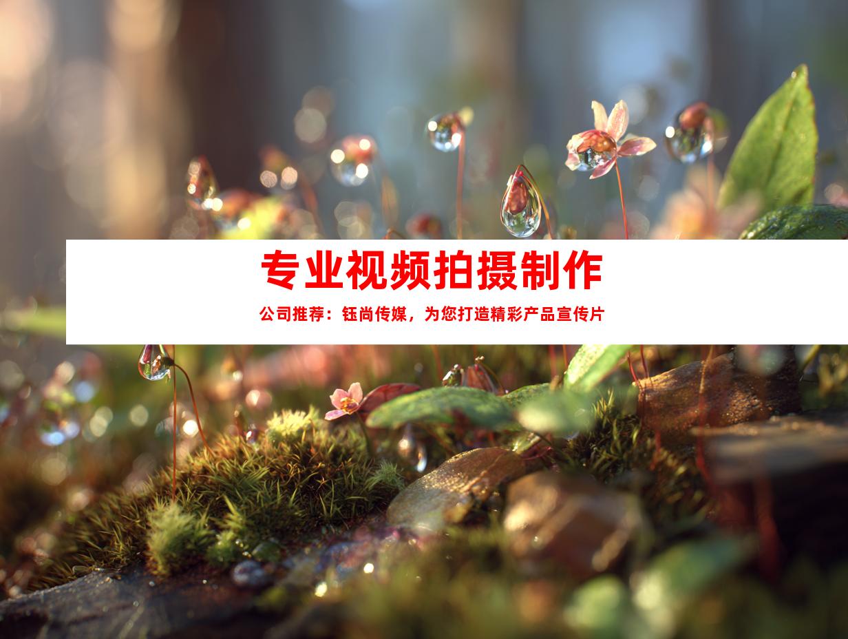 苏州专业视频拍摄制作公司推荐：钰尚传媒，为您打造精彩产品宣传片