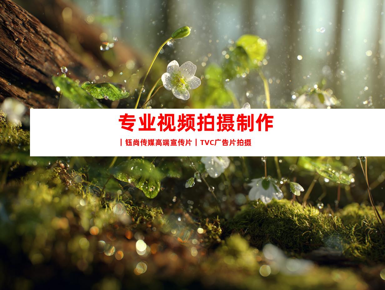 苏州专业视频拍摄制作｜钰尚传媒高端宣传片｜TVC广告片拍摄