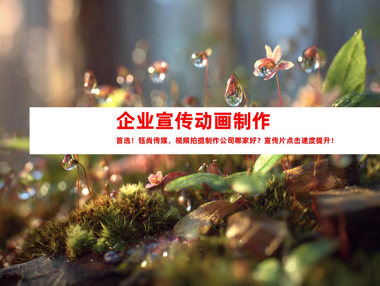 苏州企业宣传动画制作首选！钰尚传媒，视频拍摄制作公司哪家好？宣传片点击速度提升！
