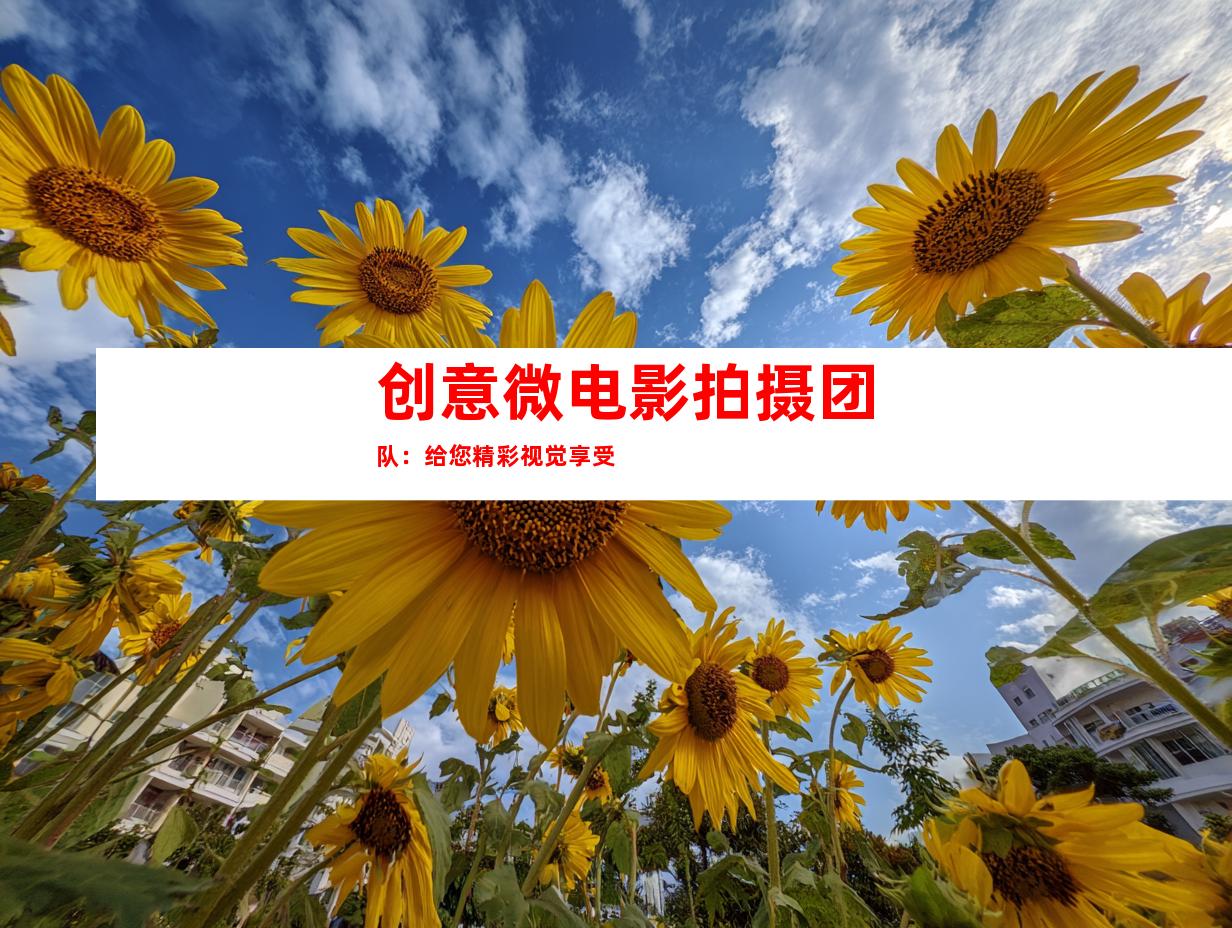 苏州创意微电影拍摄团队：给您精彩视觉享受
