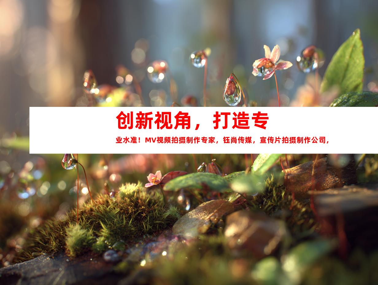 苏州创新视角，打造专业水准！MV视频拍摄制作专家，钰尚传媒，宣传片拍摄制作公司，微电影，TVC广告片