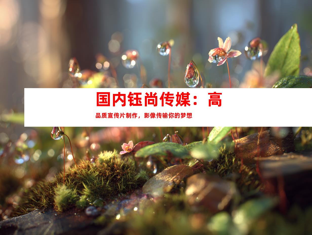 苏州国内钰尚传媒：高品质宣传片制作，影像传输你的梦想